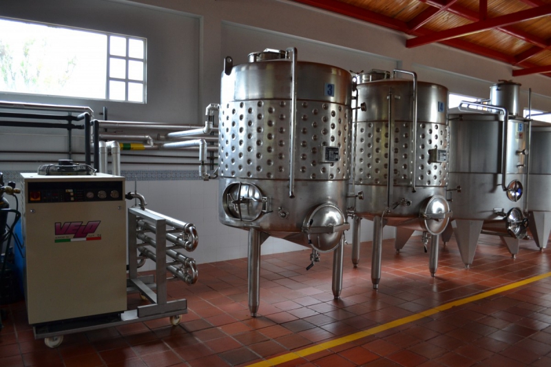 cave-TOUET SUR VAR-min_wine_production_cantine_winery_drink_alcohol_vine_beverage-902036